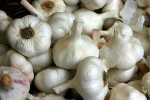 What Will You Cook Up For National Garlic Day, White Plains?