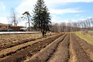 Glynwoods Hudson Valley Farm Business Incubator Expands