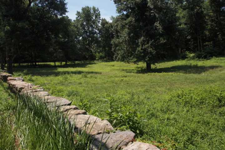 Earth Day Shopping To Benefit Greenwich Land Trust