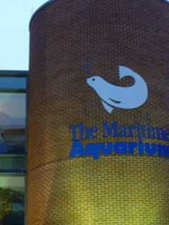 Help Monarch Butterflies At Maritime Aquarium's Earth Day Celebration