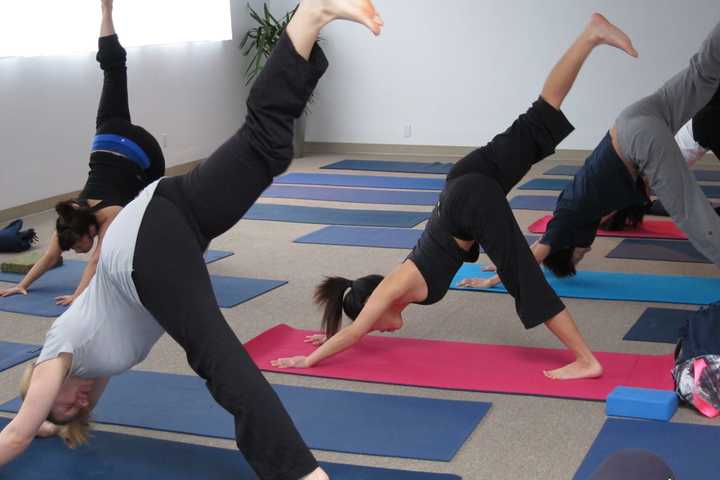 Free Yoga Class Offered For Earth Day At Weezie D In Bronxville