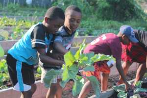 At Stamfords Fairgate Farm, Every Day is Earth Day