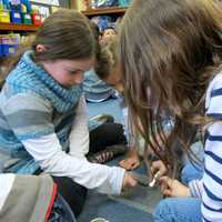 <p>Todd Elementary School second-grade students participated in an Energy Fair, where they learned about several different types of energy, including chemical, solar, heat, sound and more. </p>