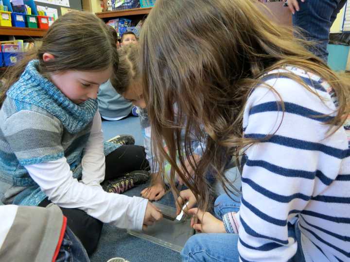 Todd Elementary School second-grade students participated in an Energy Fair, where they learned about several different types of energy, including chemical, solar, heat, sound and more. 