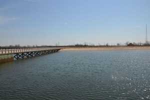 Pleasure Beach Reopens After Tick Treatments, Bridgeport Officials Say