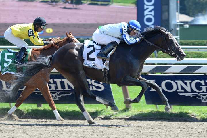 Upstart, bred in Bedford, will try to become the second New York-bred to win the Kentucky Derby on Saturday. He is owned by Ralph Evans of Greenwich.