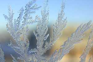 Freeze Warning In Effect For Putnam County