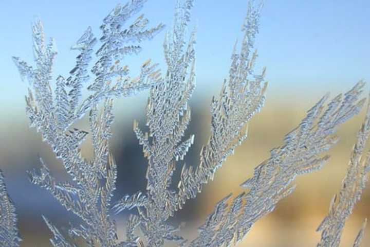 Freeze Warning In Effect For Putnam County