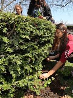 White Plains Celebrates Earth Week