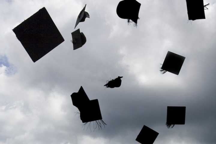 Study Rates Web, Engineering Highly Among Entry-Level Jobs 