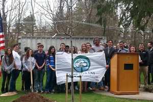 New Rochelle Combines Earth Day, Arbor Day With Tree Planting