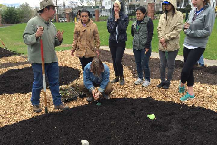 WestConn Community Plants Permaculture Garden In Danbury