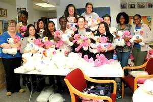 College Of New Rochelle Performs Community Service