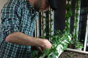 Croton Resident Launches Kickstarter For Farm To Table Business