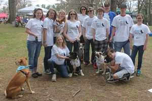 Animal Rescue Group Holds Adoption Event In North Salem