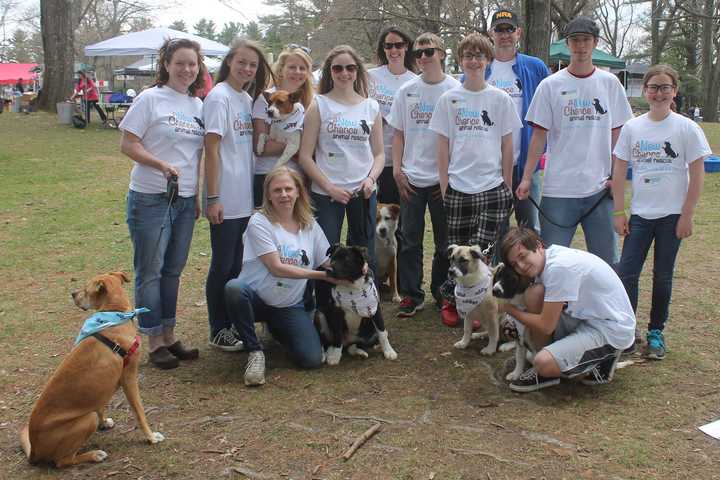 Animal Rescue Group Holds Adoption Event In North Salem