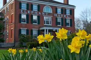 As May Arrives, Signs Of Spring Are All Around Somers