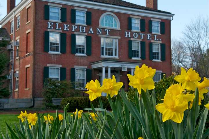 As May Arrives, Signs Of Spring Are All Around Somers