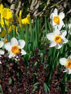 So Long April Showers: Sun Returns To North Passaic This Week