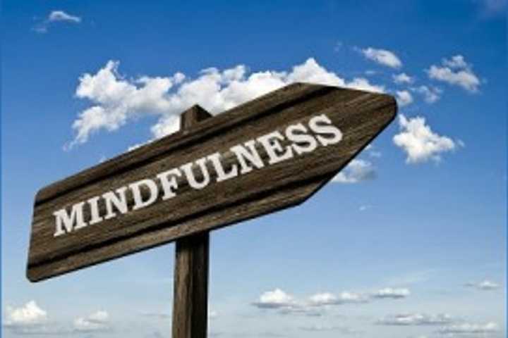 Learn How To Use Mindfulness At  Scarsdale Workshop