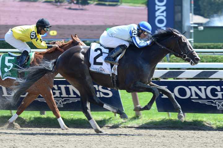 Upstart, a thoroughbred who was born and trains at Sunnyfield Farm in Bedford.