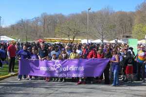 March For Babies In Westchester Brings In More Than $800K