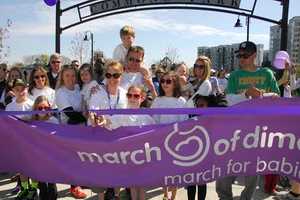 Hundreds Marching In Fairfield For Stronger, Healthier Babies 