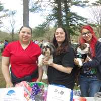 <p>Miller Clark Animal Hospital in Mamaroneck at the SPCA Walk-a-Thon in Yorktown.</p>