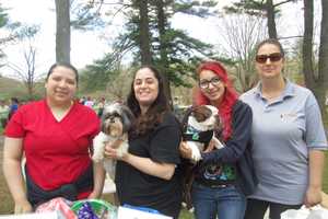 Dog Lovers Enjoy SPCA Walk-a-Thon In Yorktown