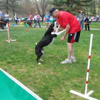 <p>A dog celebrates after completing an obstacle course. </p>