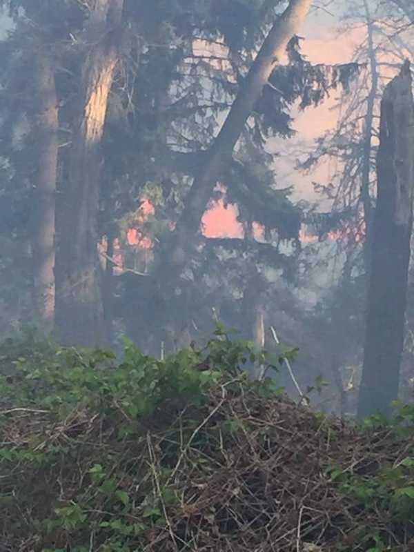 Croton Fire Department Battles Large Brush Fire At Croton Point Park 
