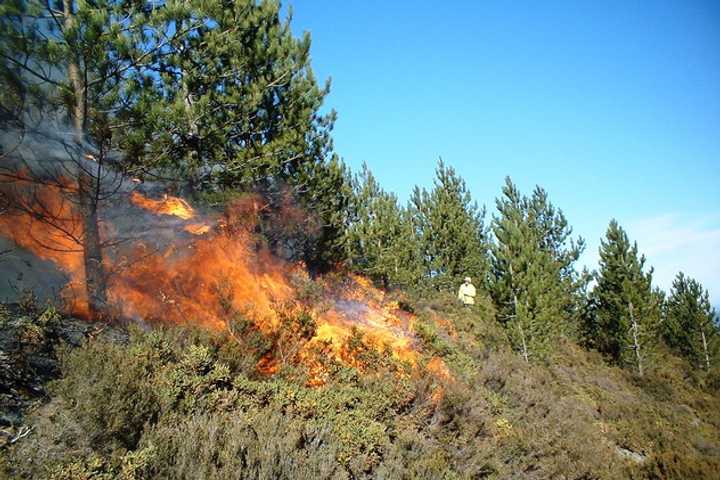 A fire watch is in effect for Westchester County and neighboring areas from Monday afternoon through Monday evening, according to the National Weather Service.