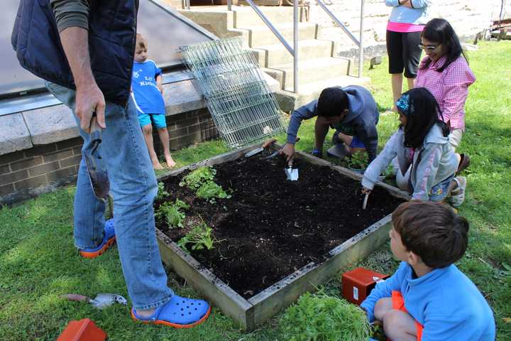 Children and their families are invited to help plant an herb garden Saturday for the Pequot Librarys resident rabbit.