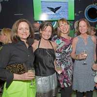 <p>Kathleen Weinstock, Lauren Chisholm, Aquarium Trustee Audrey Weil, Debbie Coley, Monica McNally and Andrea McDonough, all of Darien.</p>