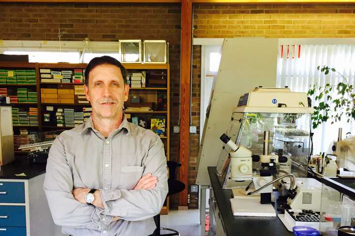 Armonk's Louis Calder Center Is Tick Central For Research