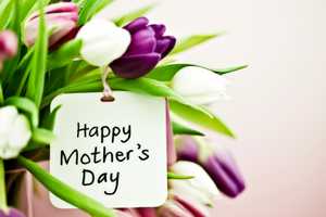 Yonkers' Alamo Drafthouse Offers Mother's Day Brunch