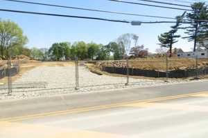 North Street Neighbors Awakened By Bulldozers, Treecutting In White Plains