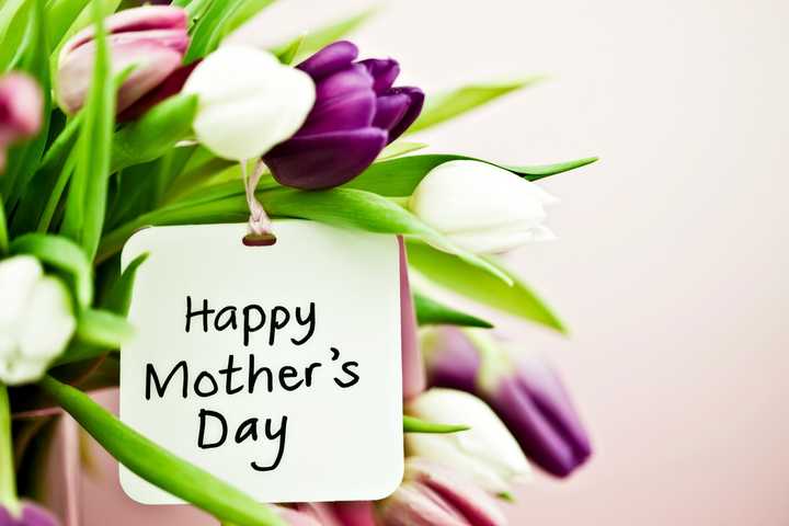 How are you celebrating Mother&#x27;s Day this Sunday?