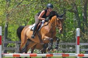 Old Salem Farm Spring Horse Shows Mark 33rd Year