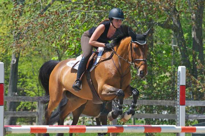 Old Salem Farm Spring Horse Shows Mark 33rd Year