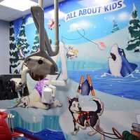 <p>This exam room is decorated with an arctic theme. Check out the shark with the missing teeth. </p>