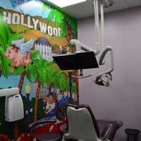 <p>You&#x27;ll enjoy the dentist when pigs fly? Check out this exam room. </p>