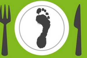 Eastchester Public Schools Learn More About Carbon Footprints