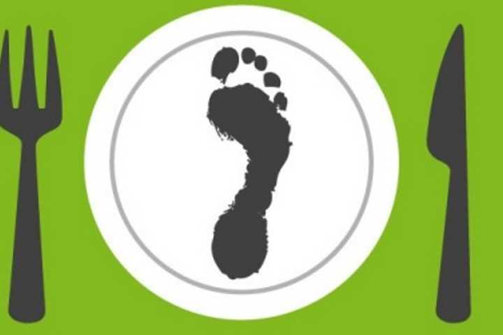 Eastchester Public Schools Learn More About Carbon Footprints
