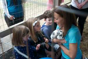 Library Moves Story Hour Outside At Wilton's Ambler Farm