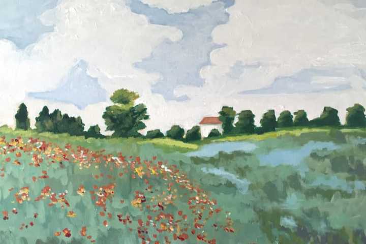Senior Moments Continues At Darien Library With Painting Party