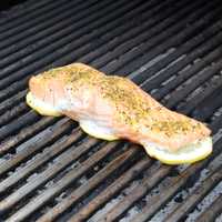 <p>Grilling perfection!</p>