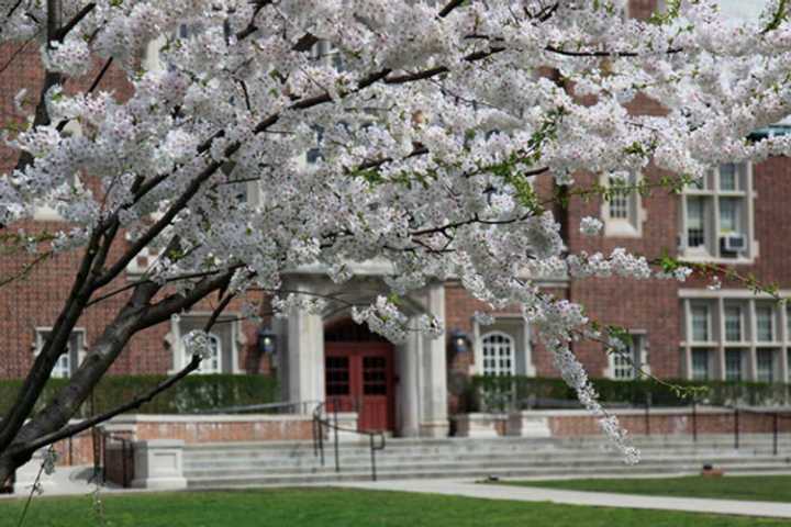 Bronxville schools saw their budget easily approved. 