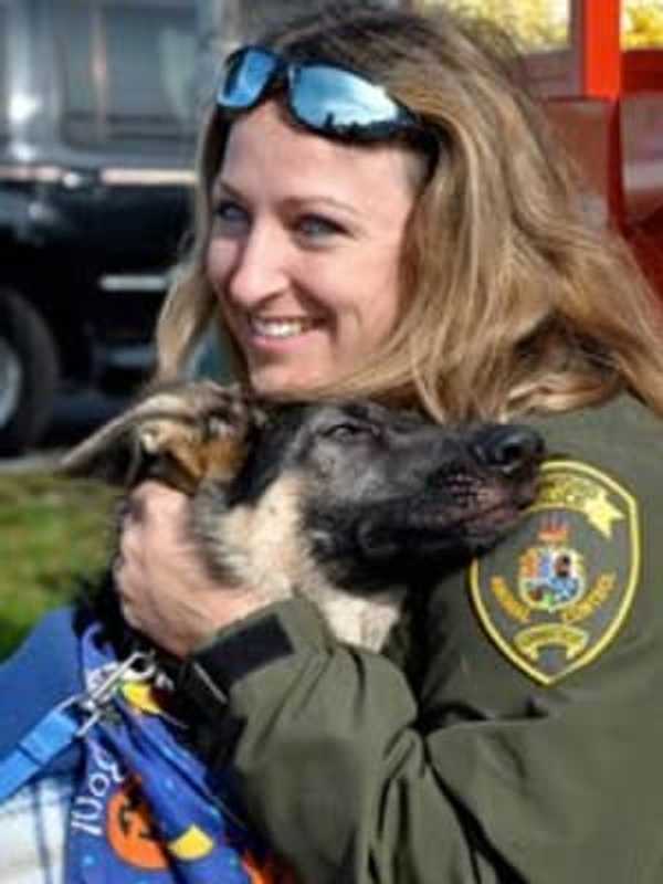 Stamford Animal Control Report Calls For Shorter Leash On Volunteers