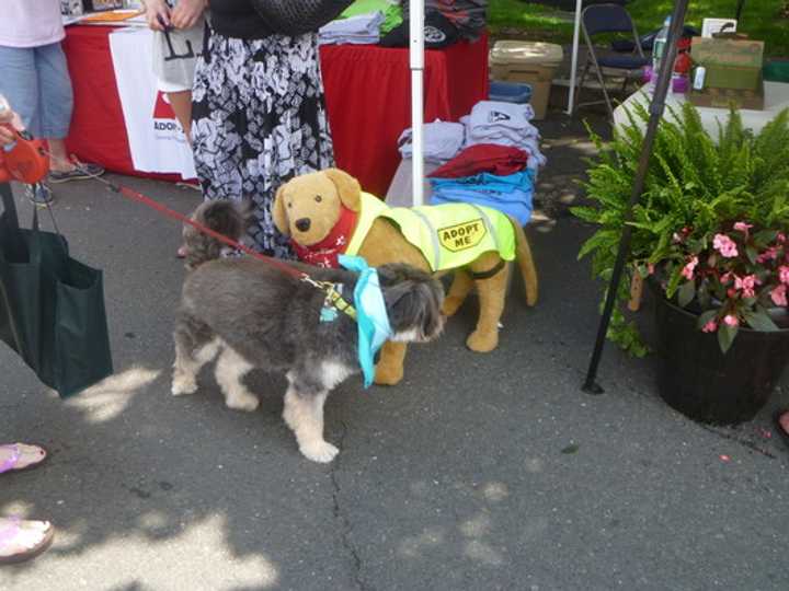 New Canaans Pet Pantry Warehouse will be the host for this years Dog Days event Sunday, June 14.